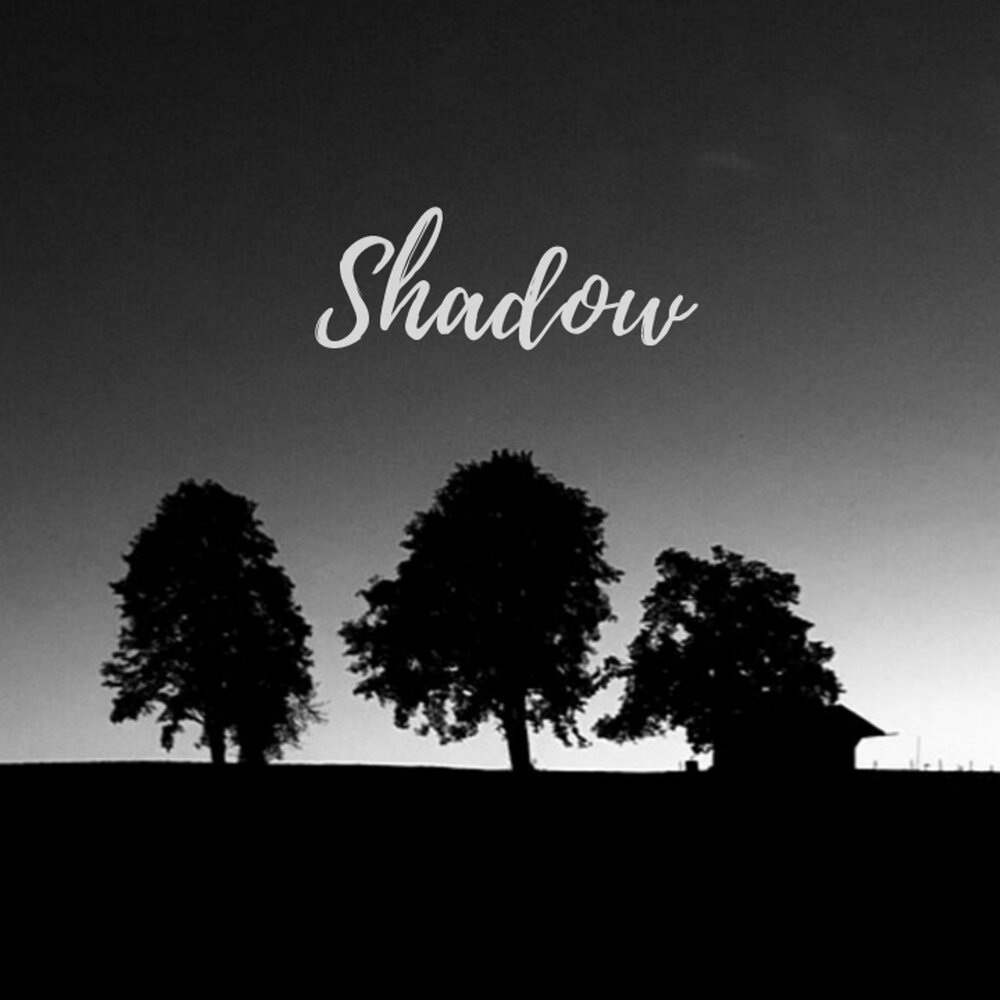 Shadow shadow album