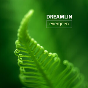 Dreamlin - Tr