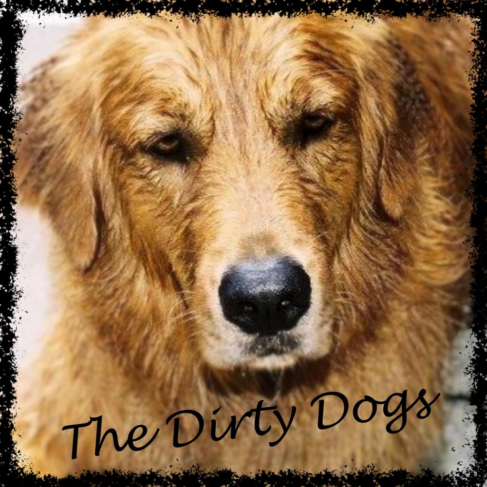 Дай собаки слушать. Музыкальный альбом the Dogs.... Аниме the Dirty Dog. Dirt Dog. Dog песня.