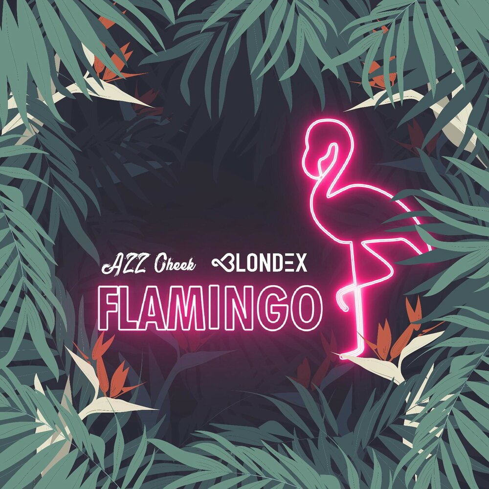Слушать песню фламинго. Обложка для альбома с Фламинго. Фламинго оригинал. Фламинго песня. Розовый Фламинго ремикс.
