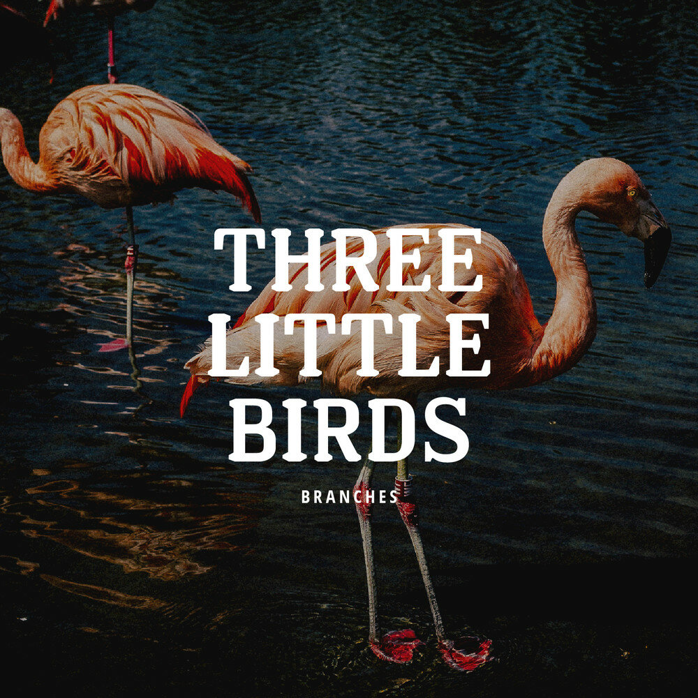 Three little Birds. Maroon three little Birds. Обложка для mp3 three little Birds. Danger little Birds.