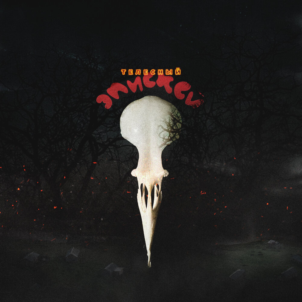 холихедские гарпии гарри поттер. Sg video. эпискей гарри поттер. Episkey заклинание. Episkey.