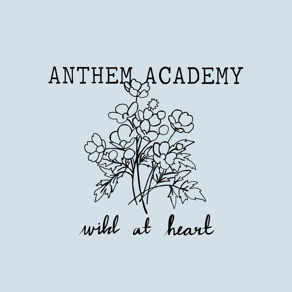 Wild academy. Anthem песня.