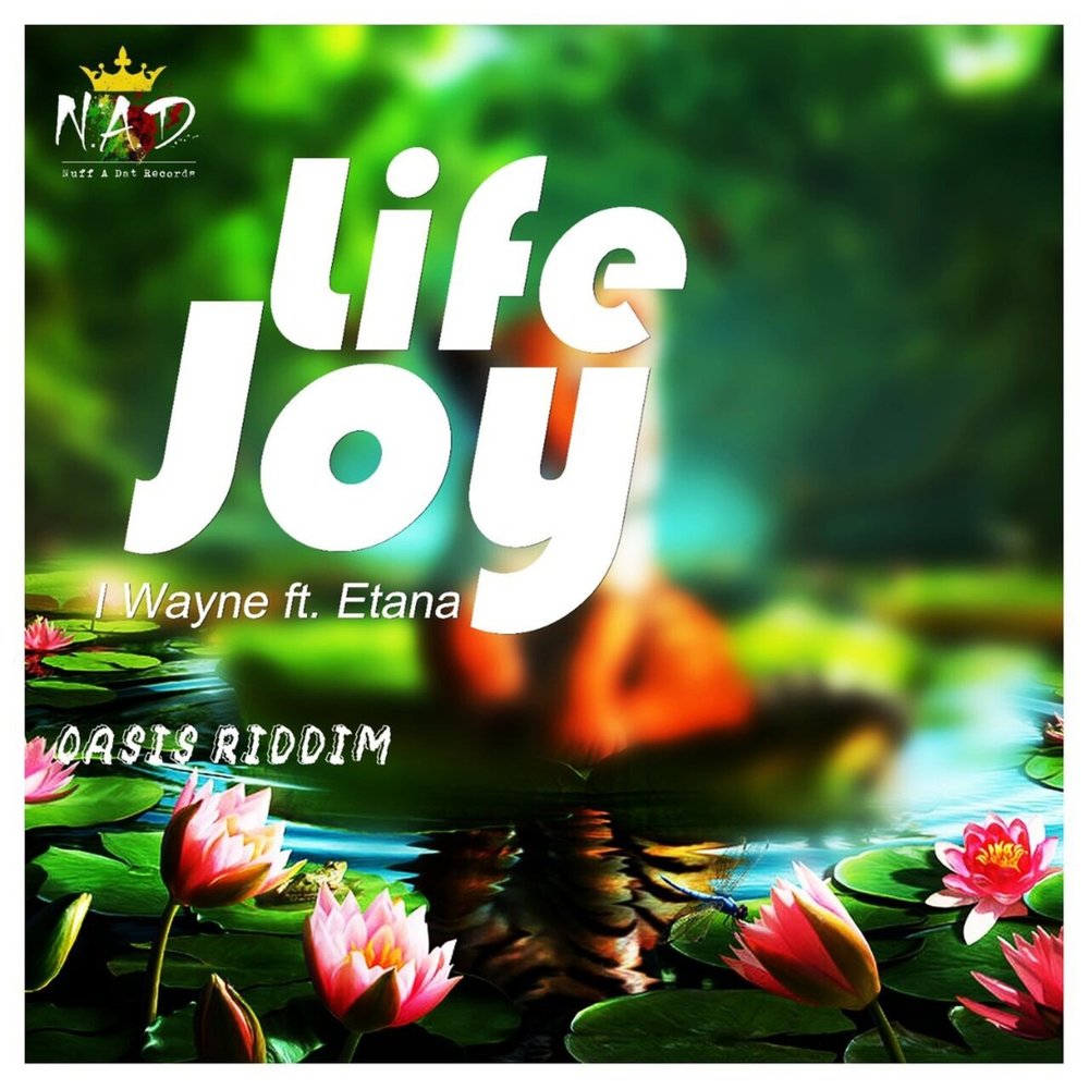 Жизнь джой. Joy of Life. Вейн лайф. Life Joy мг. I Life of Joy что это?.