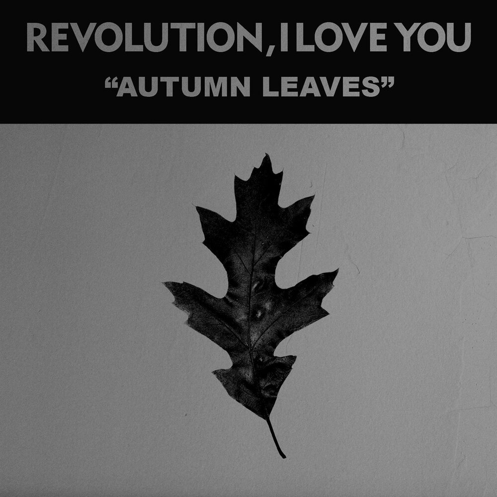 Лист слушать. I Love Revolution. Leaf исполнитель. I Love Revolution Whip.