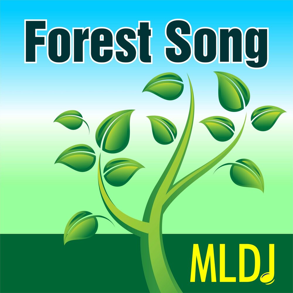 Форест Хаус эмблемы. Song of the Forest. Forest Song album.