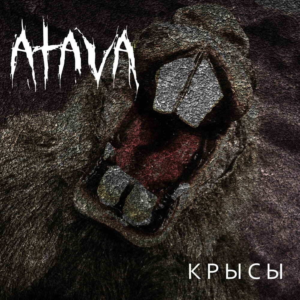 Крыс слушать полностью. Атава. альбом с крысами. крыса рок. атава ё.