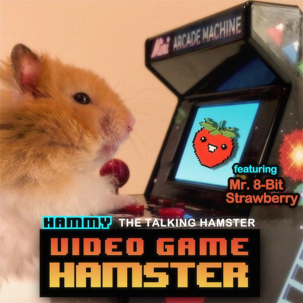 Хамстер игра 28 августа. Mr Hamster.