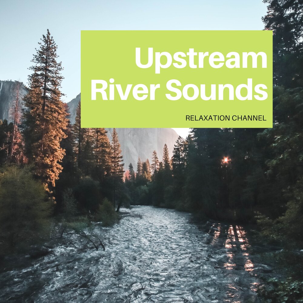 Звук реки слушать. River Sound. Listening upstream.