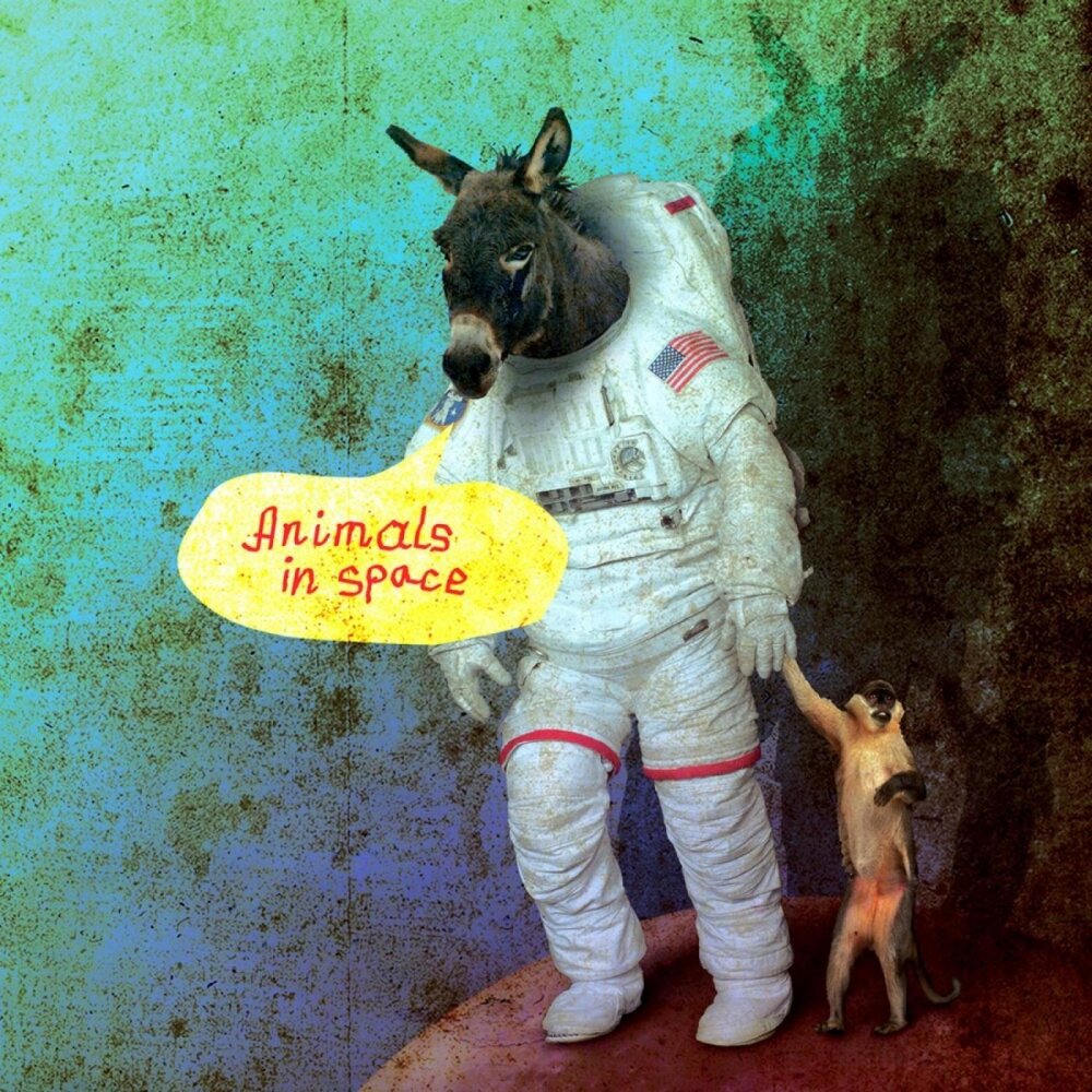 Животные в космосе. Animals in Space. Первые животные в космосе.