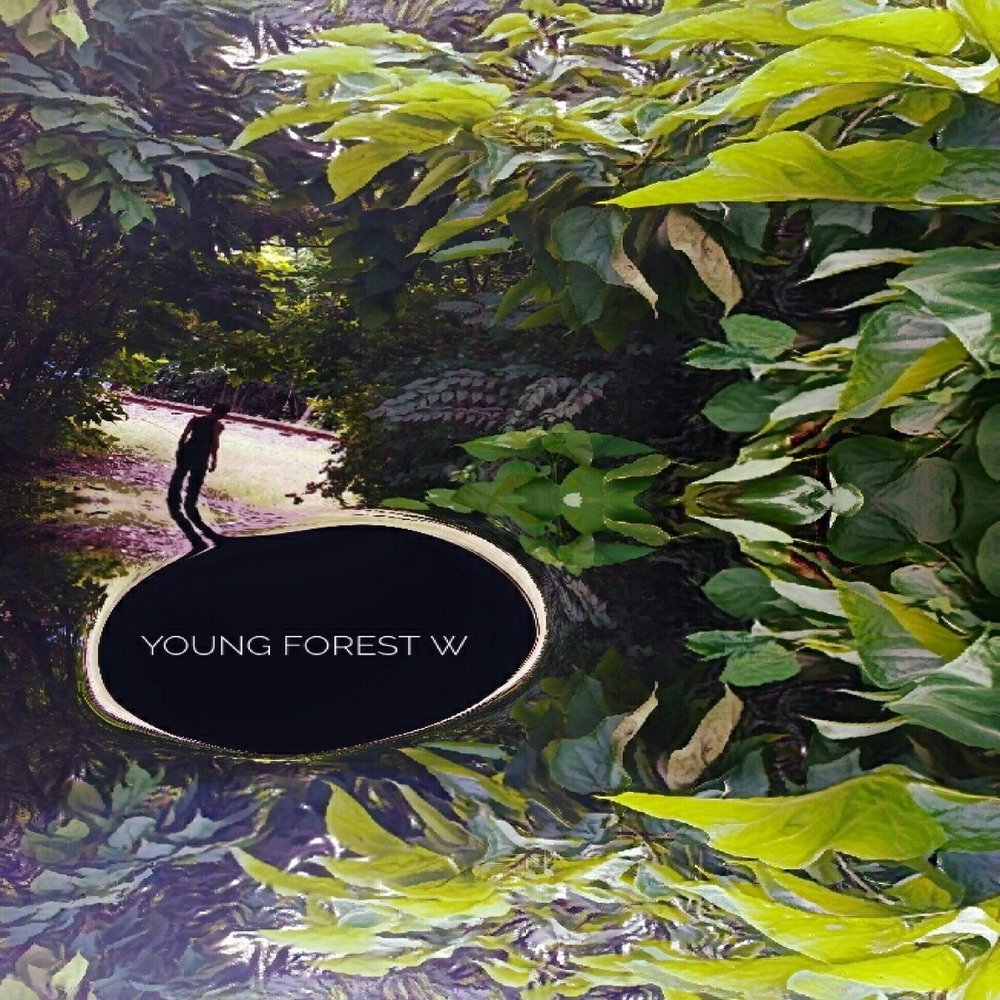 Young forest