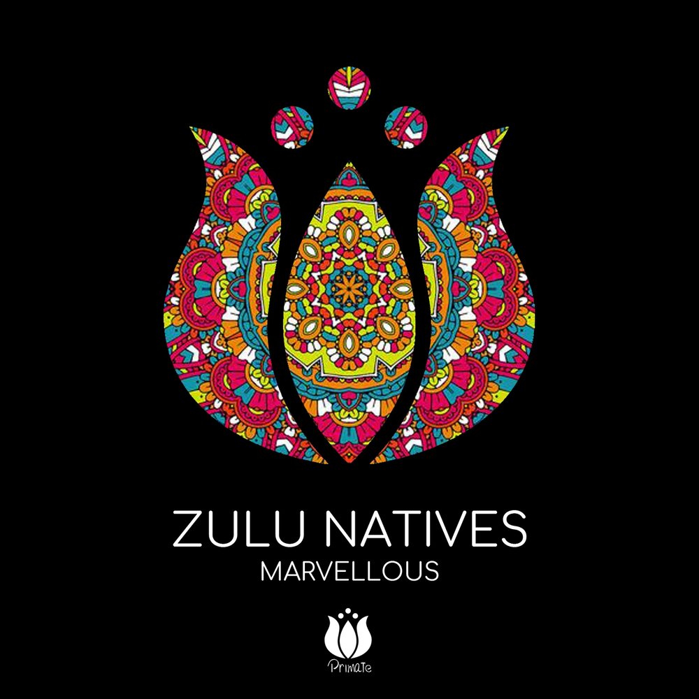 Album nations. Zulu Nation.