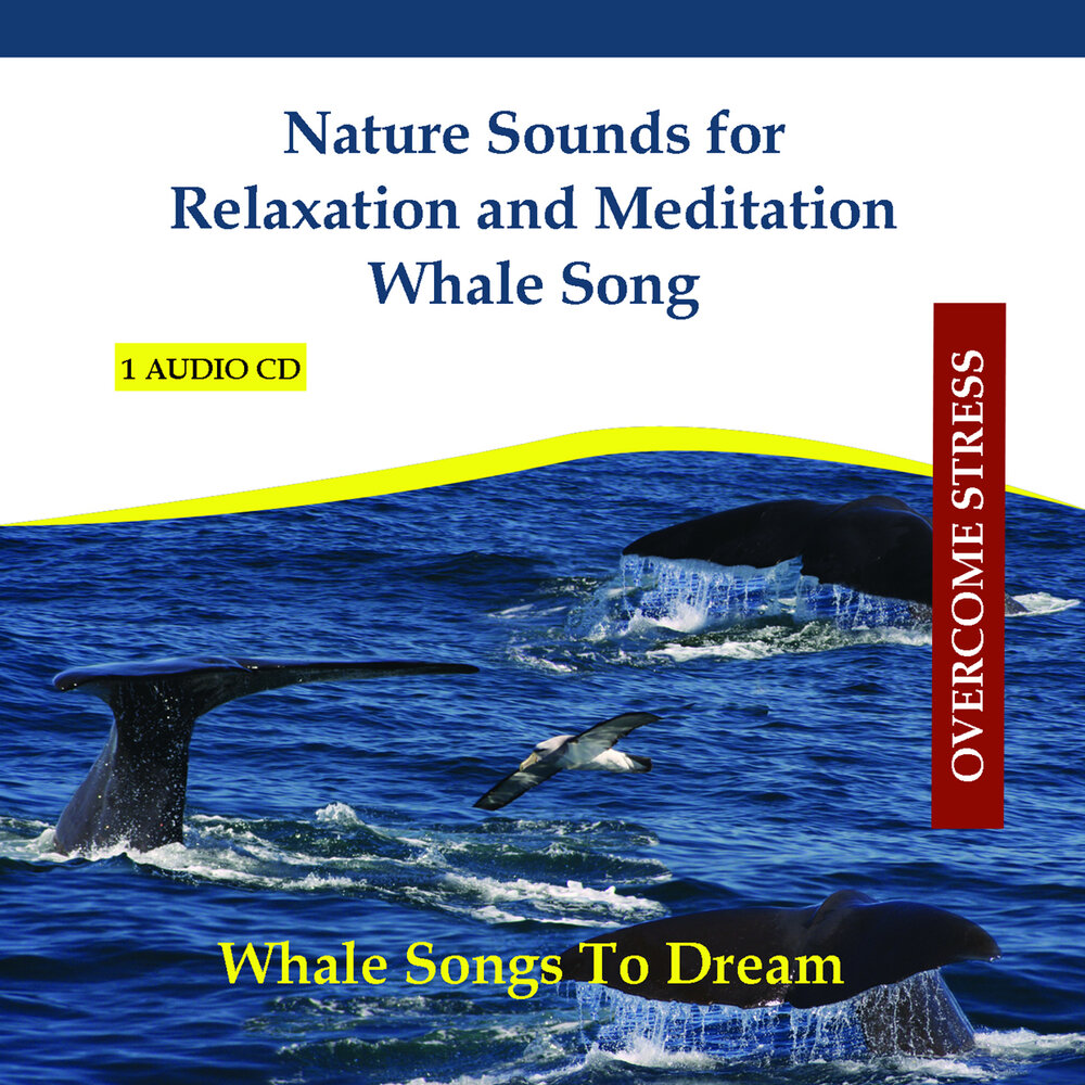 Песни китов слушать. Song of the Whale Ultimate Relaxation.