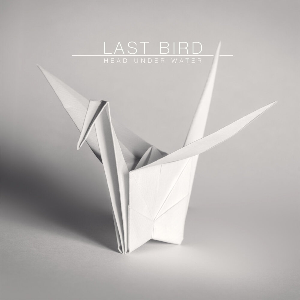 Last bird