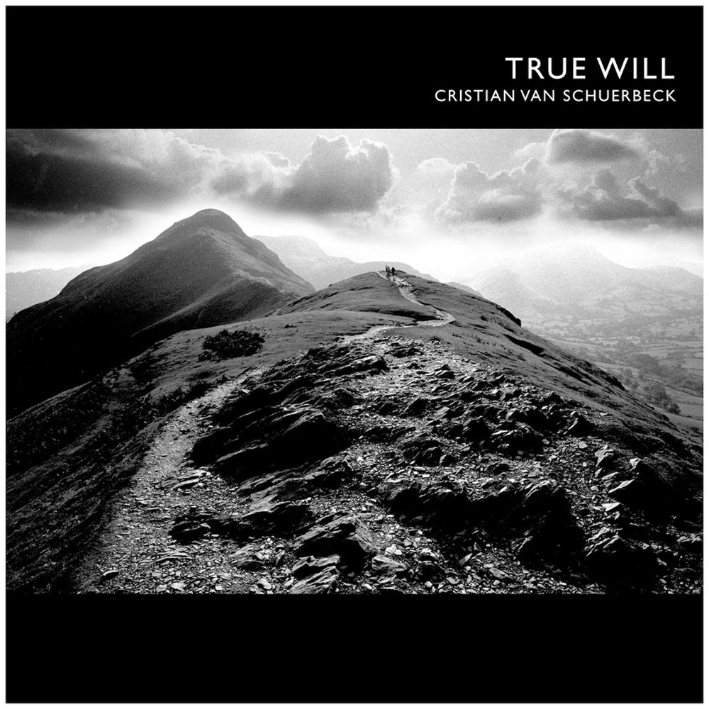 Do what thou wilt will be all the law перевод. крушение утопии. True will. True will. True will.