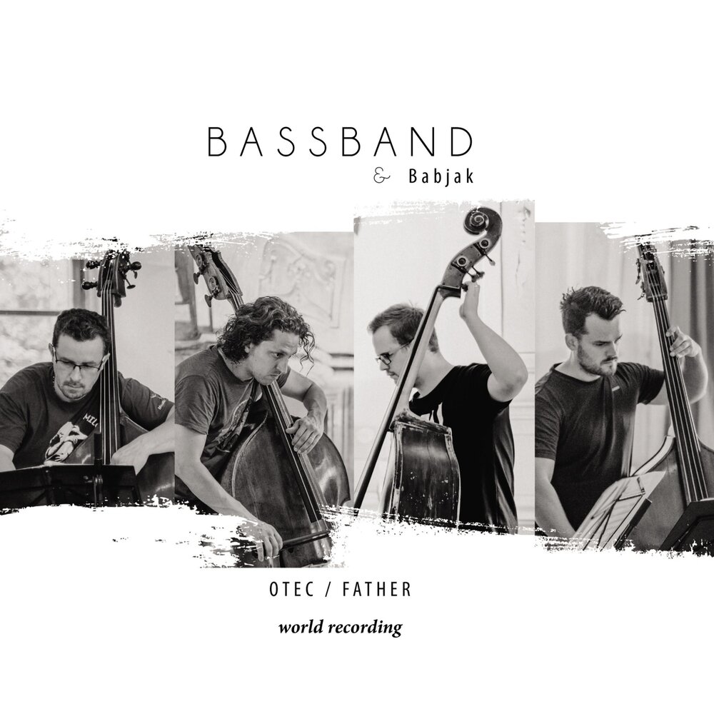 Струнный квартет «noir». Музыкальная классика для детей. Квартет бас. Инструменты из басни квартет. Квартет бас.