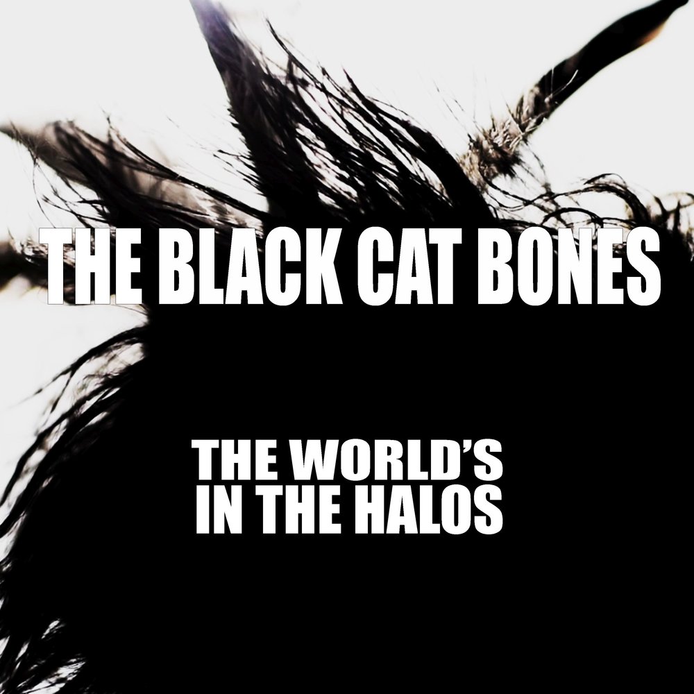 Black cat bones