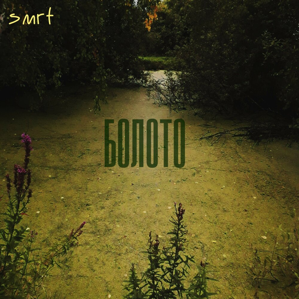топи саундтрек. матушка альбомы. стихотворение есенина топи да болота. низинные болота удомли. эвтрофное болото.