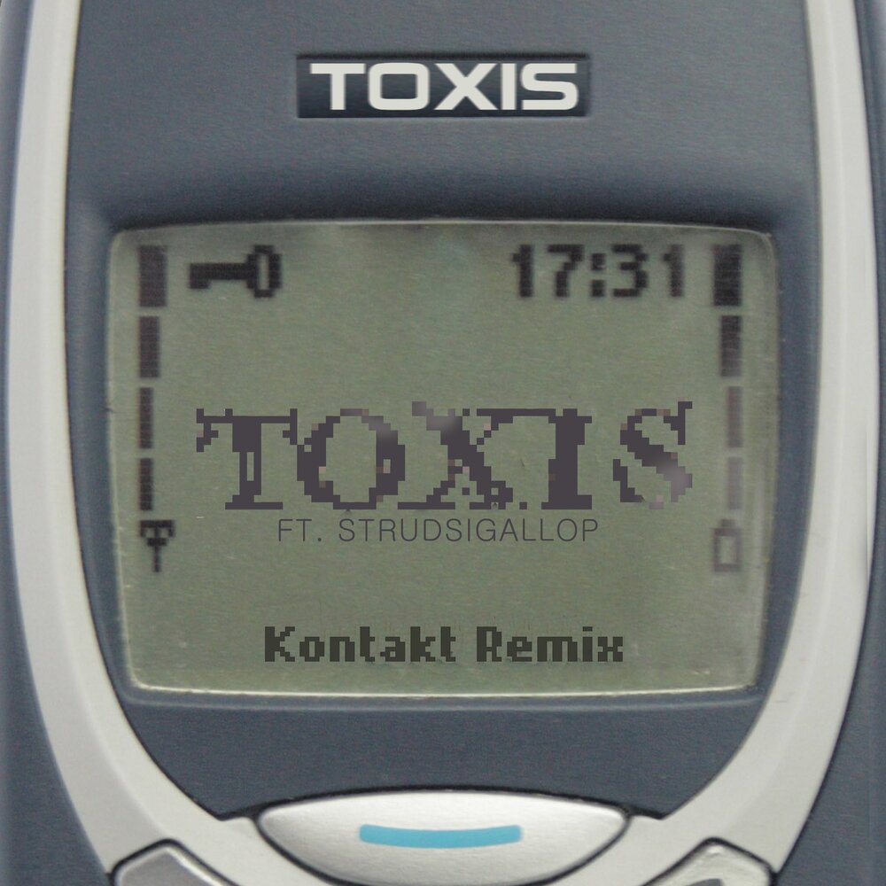 Включи toxis. Экран нокиа 3310. Nokia 3310 на весь экран. Nokia 3310 разбитый экран. Нокиа 3310 фото.