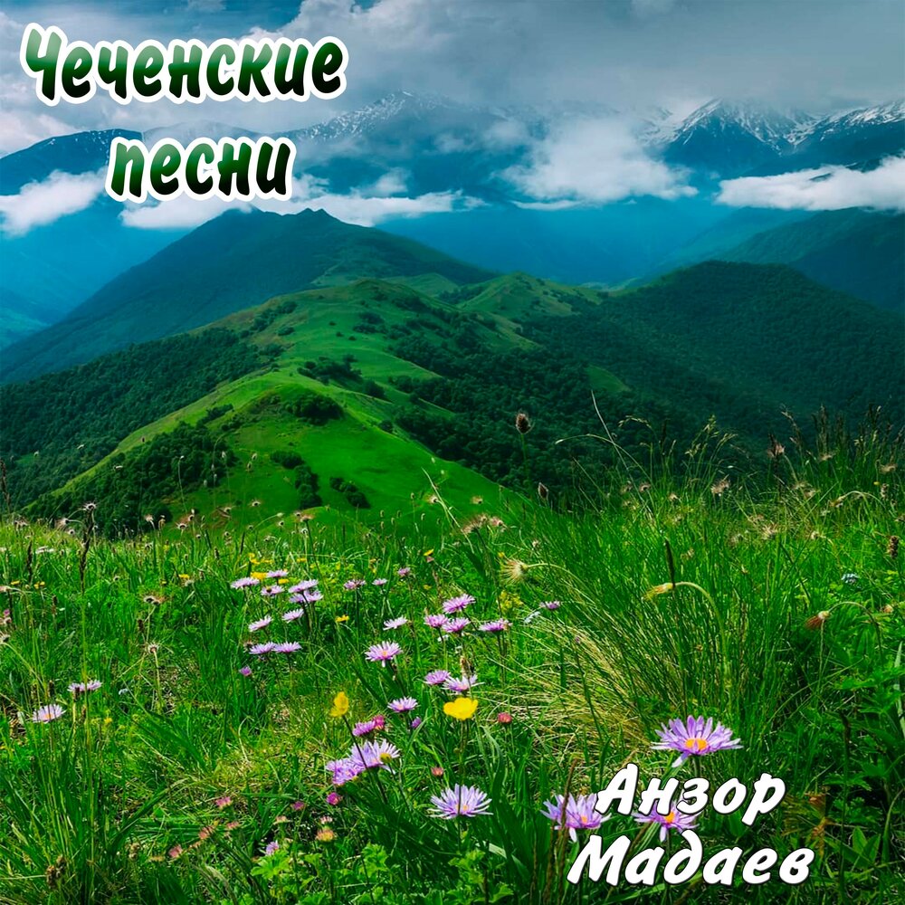 Чеченский альбом песен. Сан хьоме Даймохк. Рисунок Сан хьоме Даймохк. 1адика йойла.