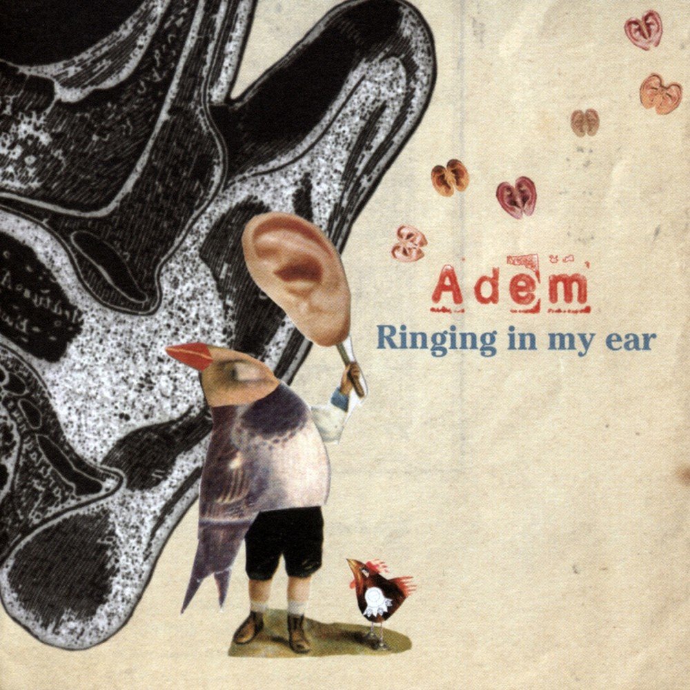 These are my ears. Ademar Music. In my Ear Baby песня. Music to my Ears.