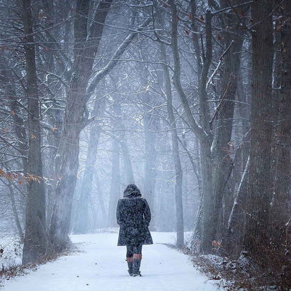 Песня зима холода одинокие. Одиночество холод. Зима холода одинокие. Слепой снегопад. Одиночество холод лес.