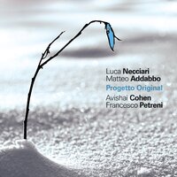 Luca Necciari