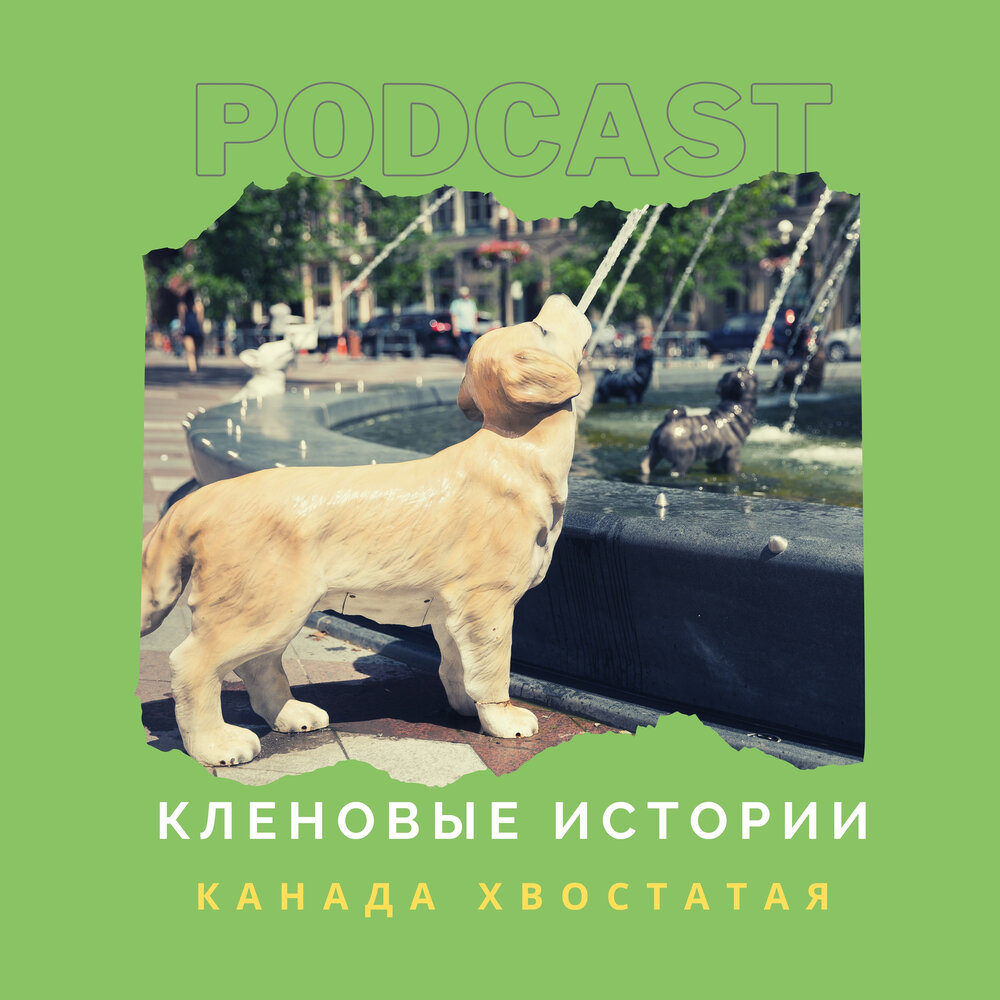 Кленовая история. Достопримечательности кленово москва. Клён остролистный платановидный. Кленовая история. Клен остролистный осень.