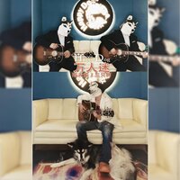 artist-cover