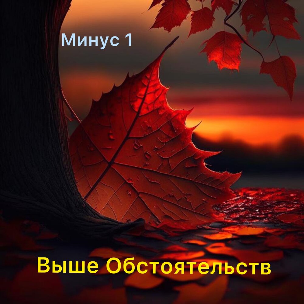 Буду выше обстоятельств