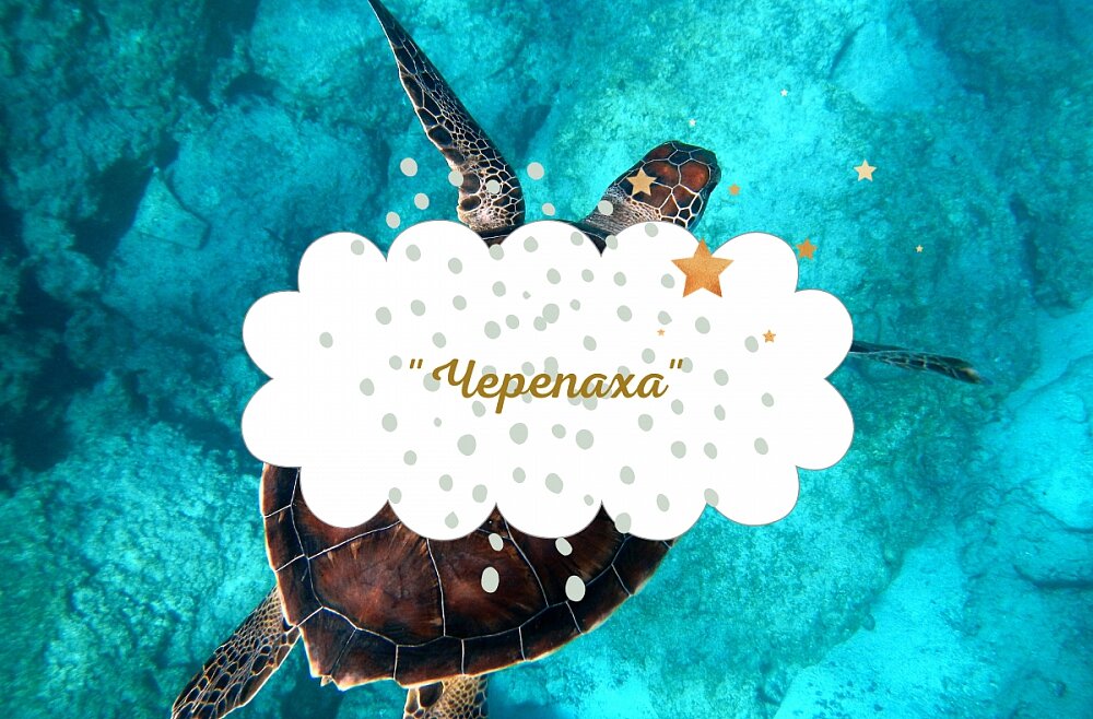 заяц и черепаха дисней. черепаха рисунок. черепаха слушать. черепаха 30 лет. черепаха слушать.