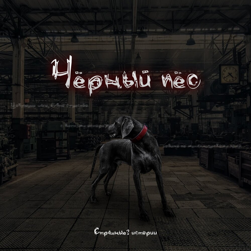 ддт чёрный пёс петербург vol. черный пес слушать. черный пес петербург. черный пес слушать. черный пес слушать.