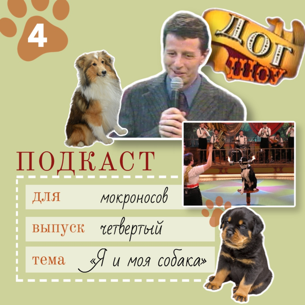 Моя собака книга. Это моя собака мелодрама. На кого моя собака. Это моя собака мелодрама. На кого моя собака.