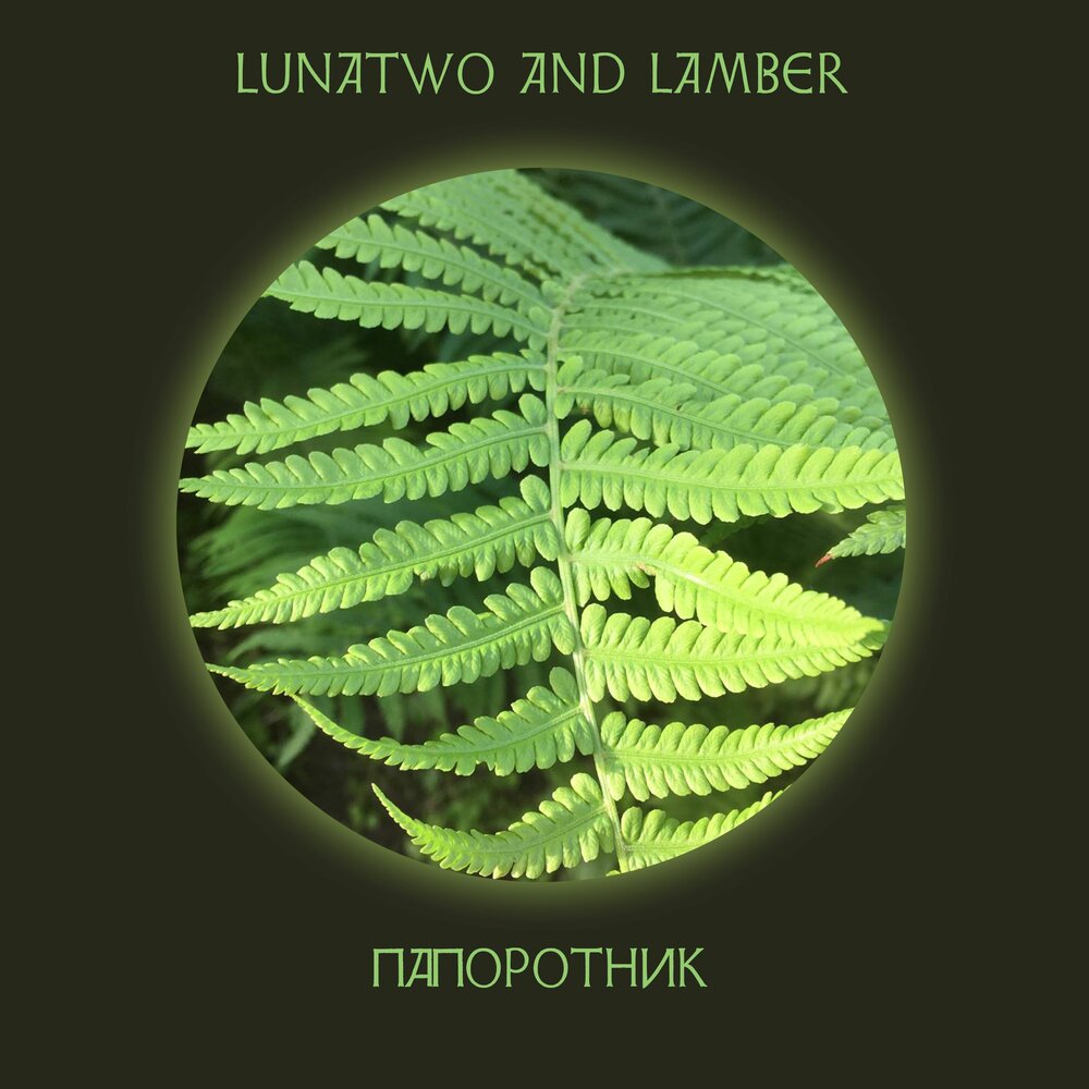 Папоротник песни. Цветущий папоротник. Папоротник linearis polydactyla’. Lunat_shine. Папоротник барнсли.