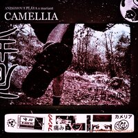 artist-cover