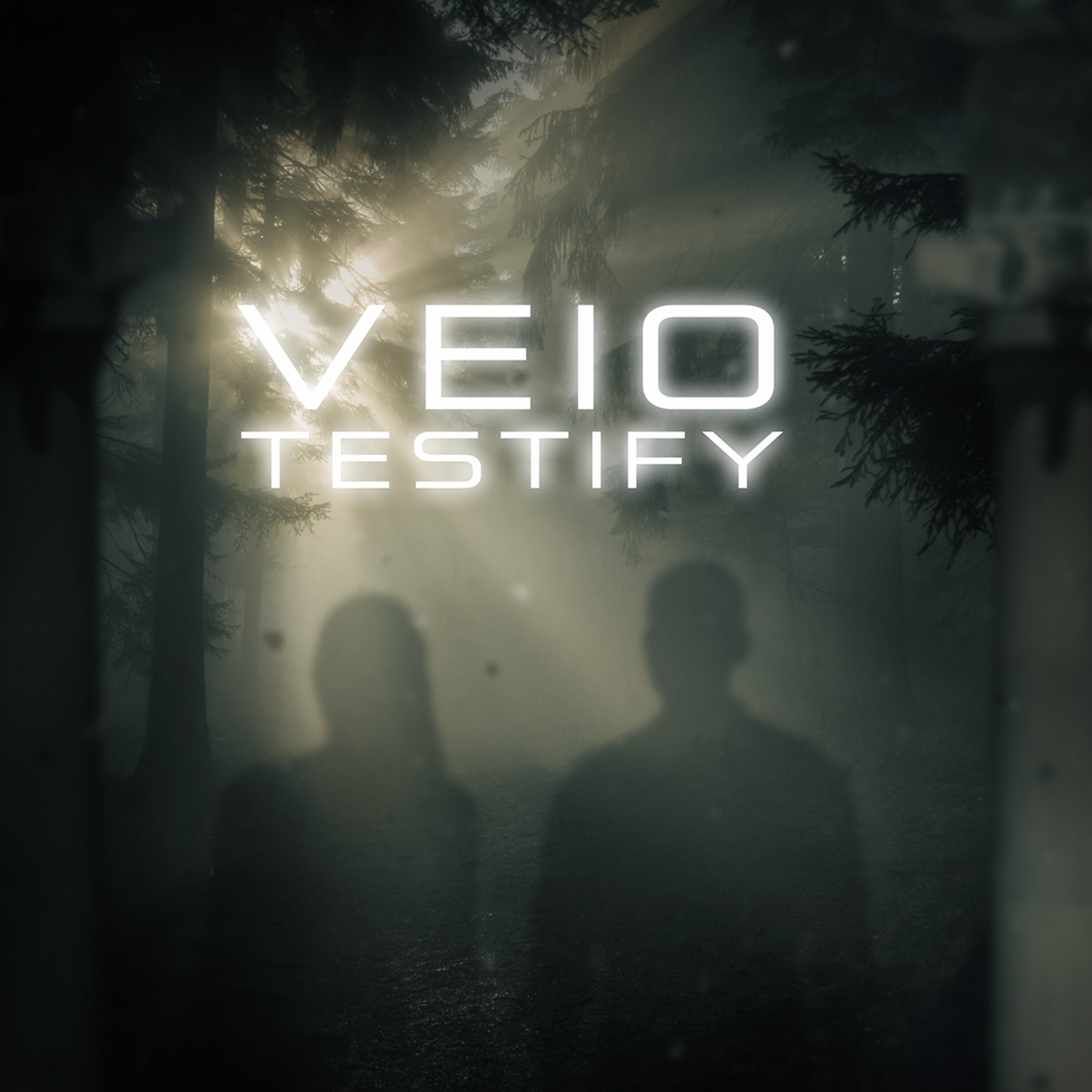 Veio