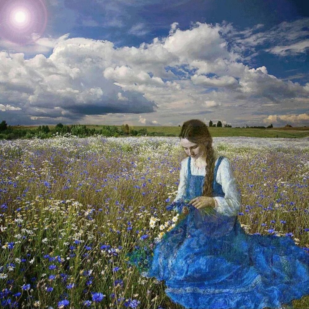 Бегу по ветру песня. Васильковое поле. Синие цветы в поле. Девушка с васильками.