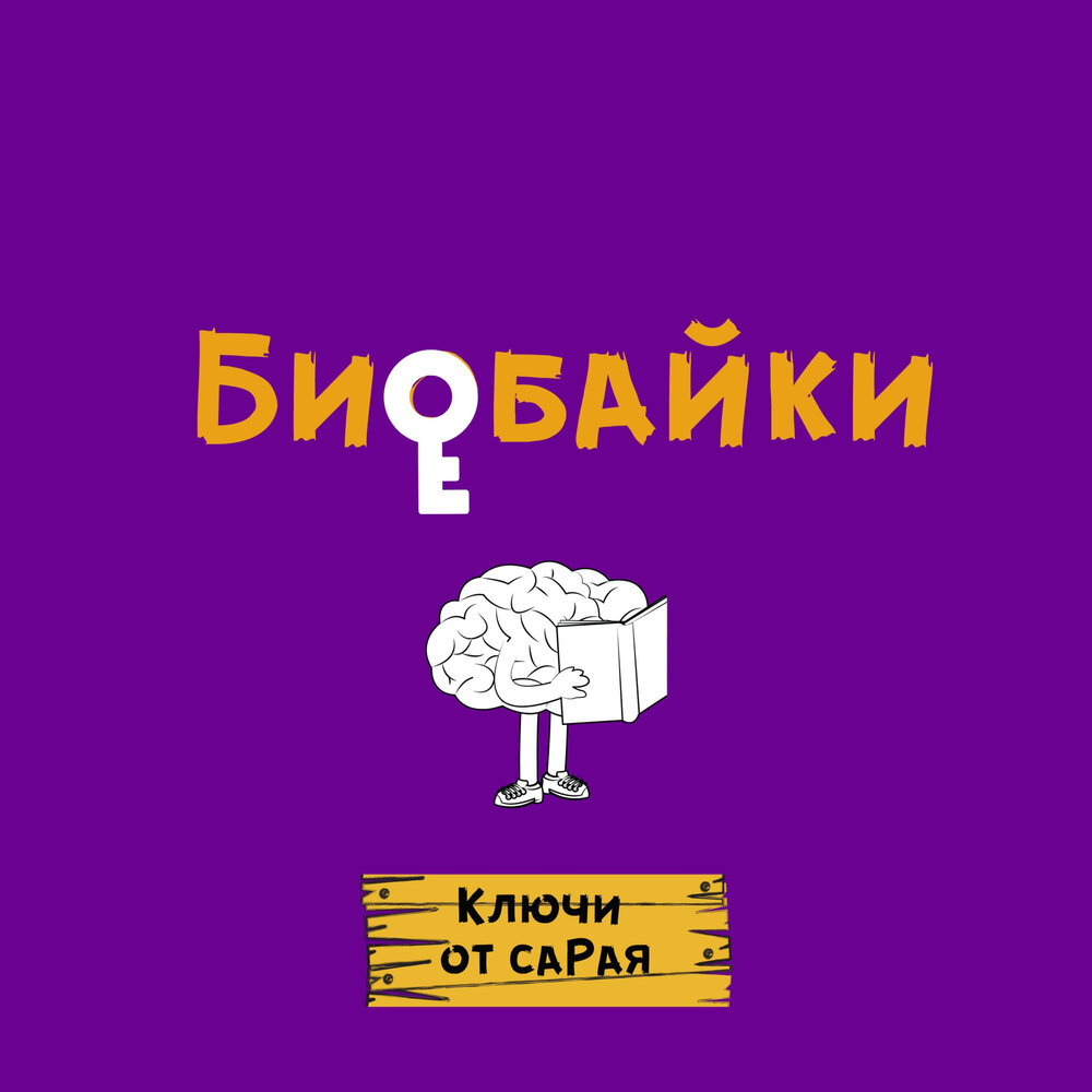 13 работаем. 13 работаем. Тезис с вопросительным словом. Жемчужина плюс краснознаменск. Тезисные вопросы.