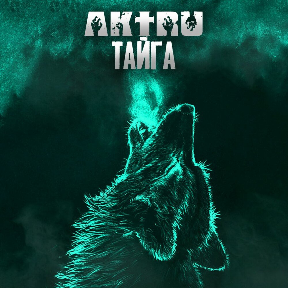 Тайга логотип. Певица тайга. Тайга новые песни. Тайга табличка. Тайга песня.