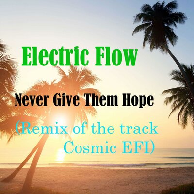 Скачать песню Electric Flow - Never Give Them Hope (Remix of the track Cosmic EFI)