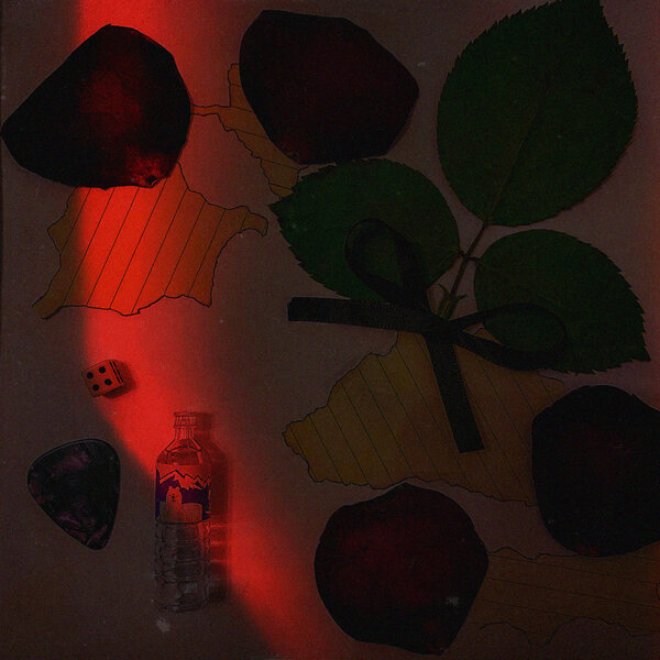 track-cover