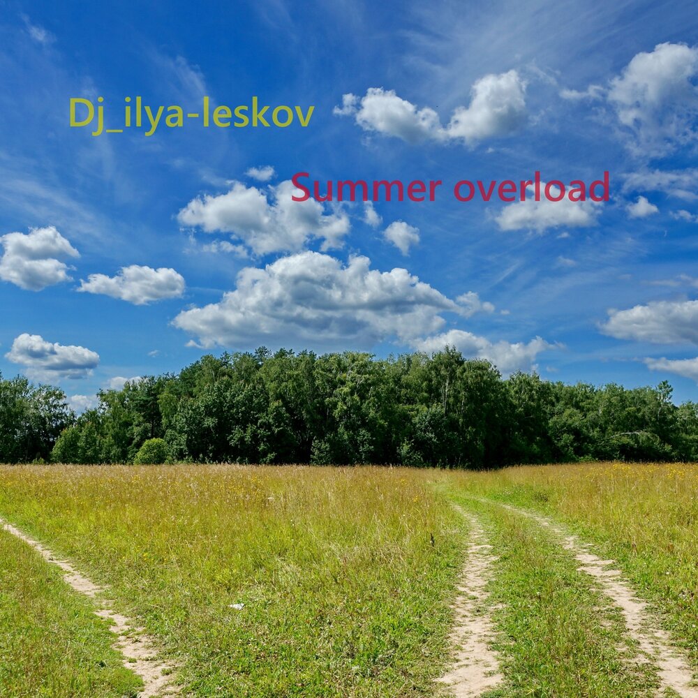 Dj ilya leskov