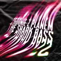 The Shark Bass