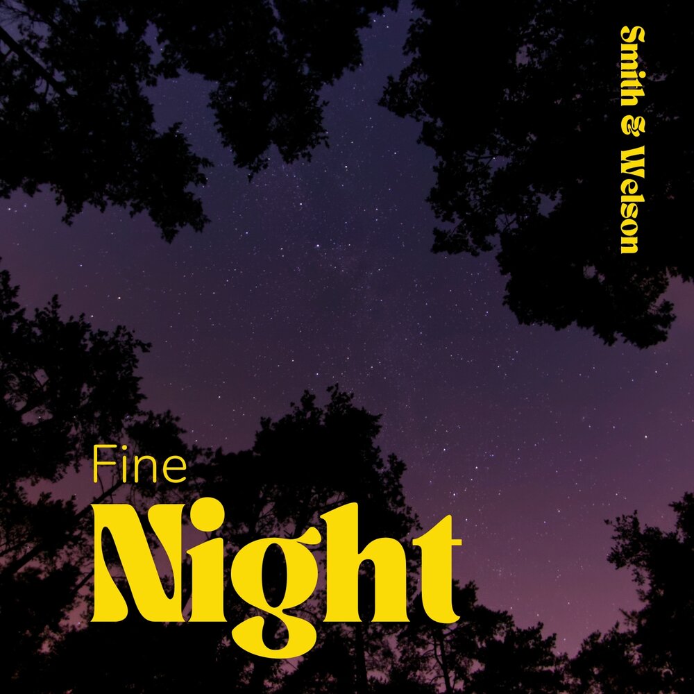 Stereo’s flava. Goreshit. Fine night. Формат (feat. Fine night.