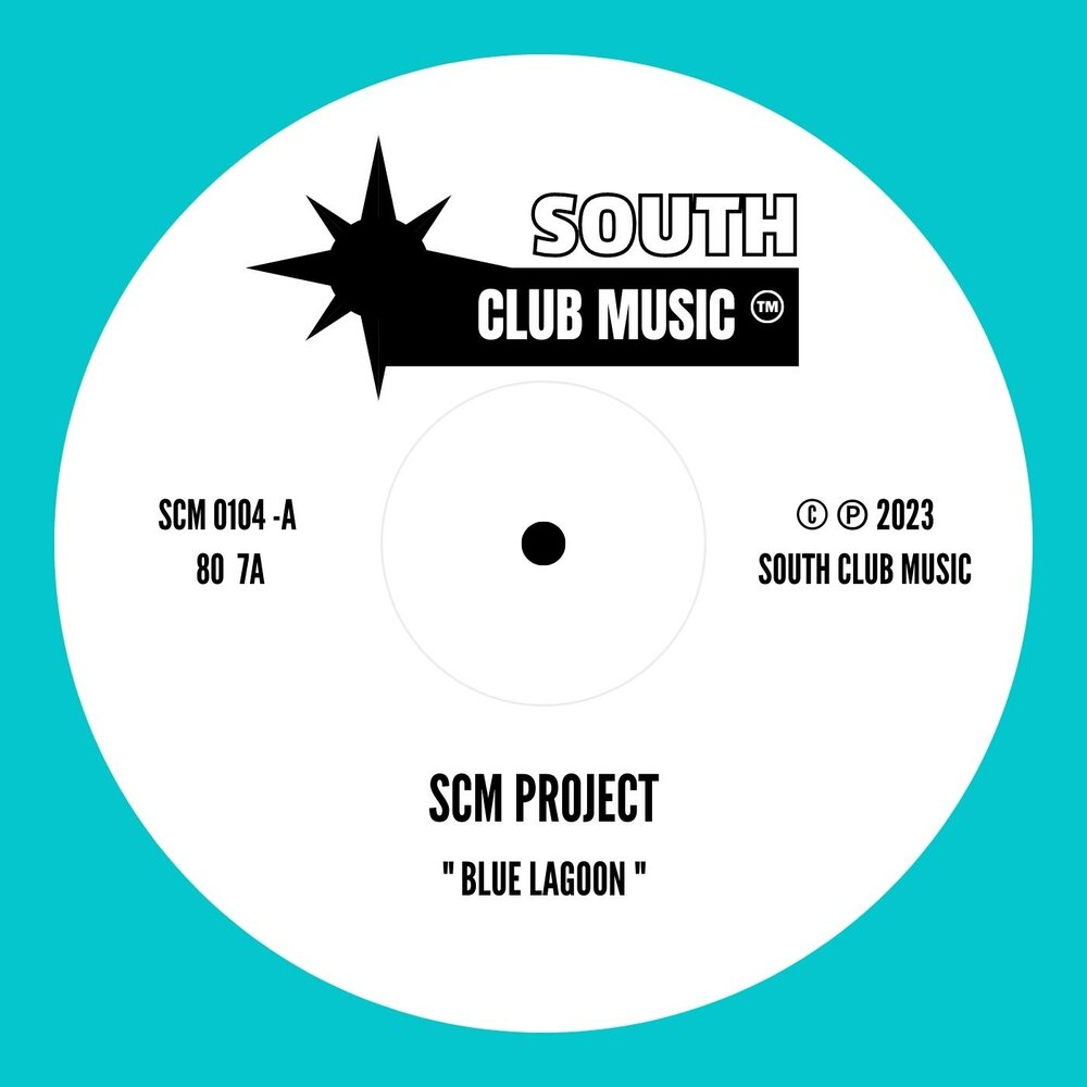 S project v