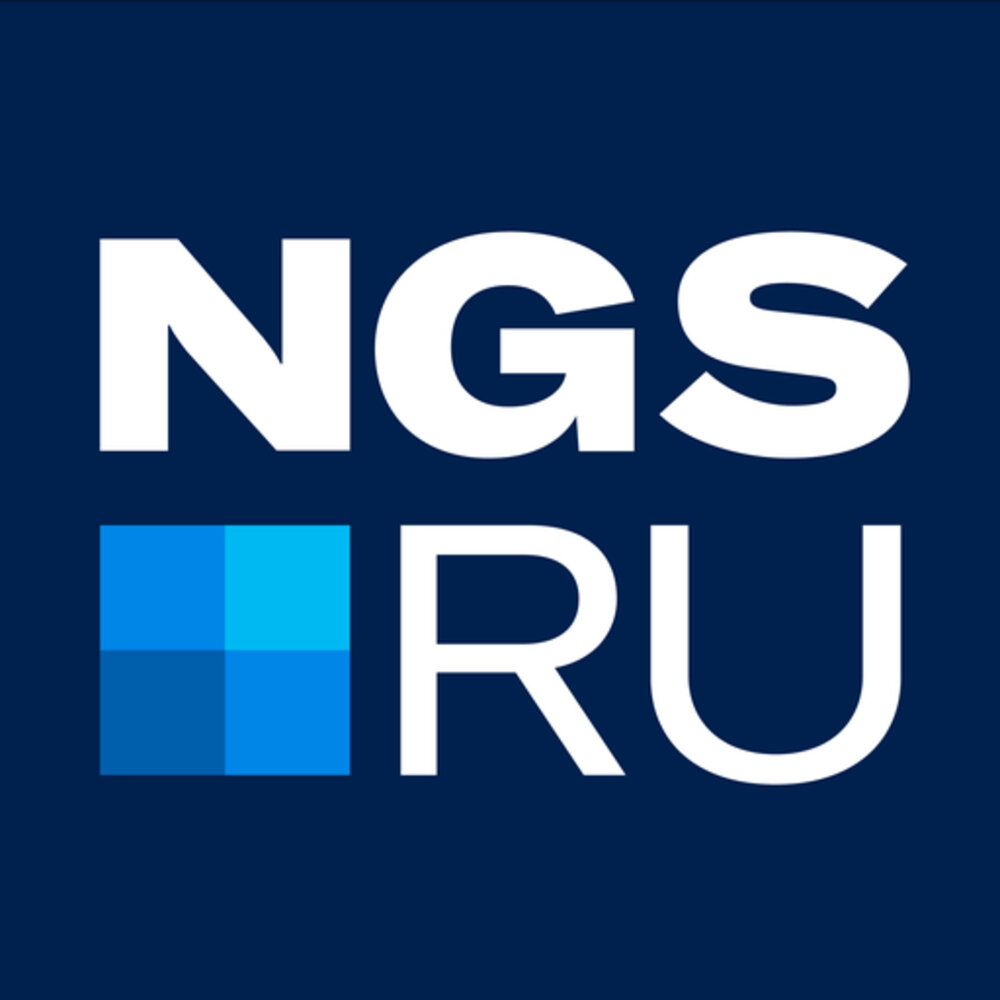 Ngs. НГС. NGS логотип. НГС Новосибирск логотип. НГС логотип без фона.