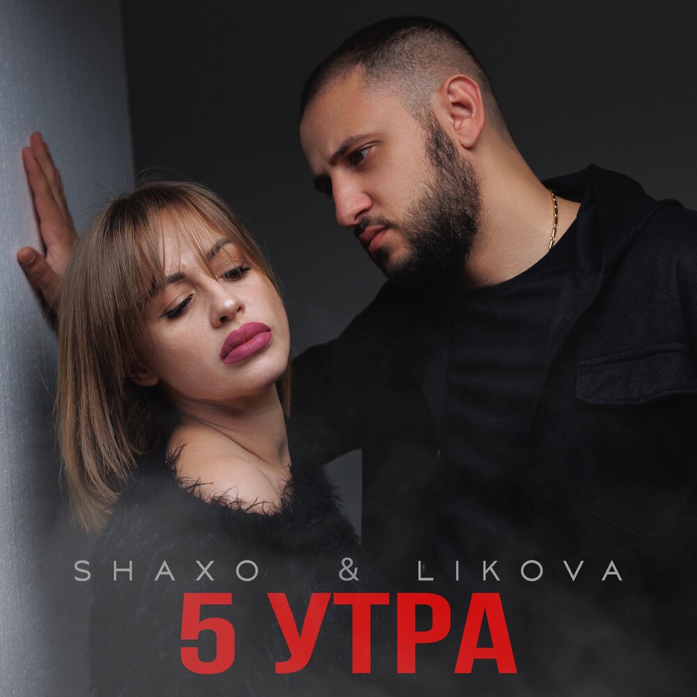 Shaxo likova фото. Shaxo art. Волк shaxo. Shaxo песни. Shaxo песни.