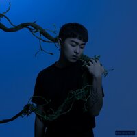 artist-cover