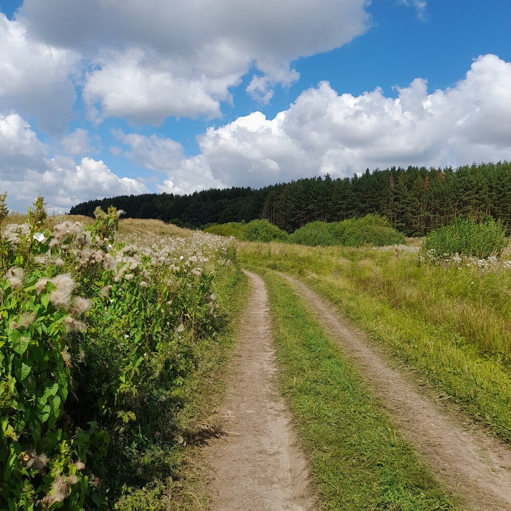 Село нати