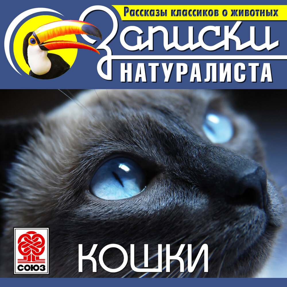 Кошачья аудиокнига. Кошка против кошки книга. Кошачья аудиокнига. Планета кошек аудиокнига. Кошачья аудиокнига.